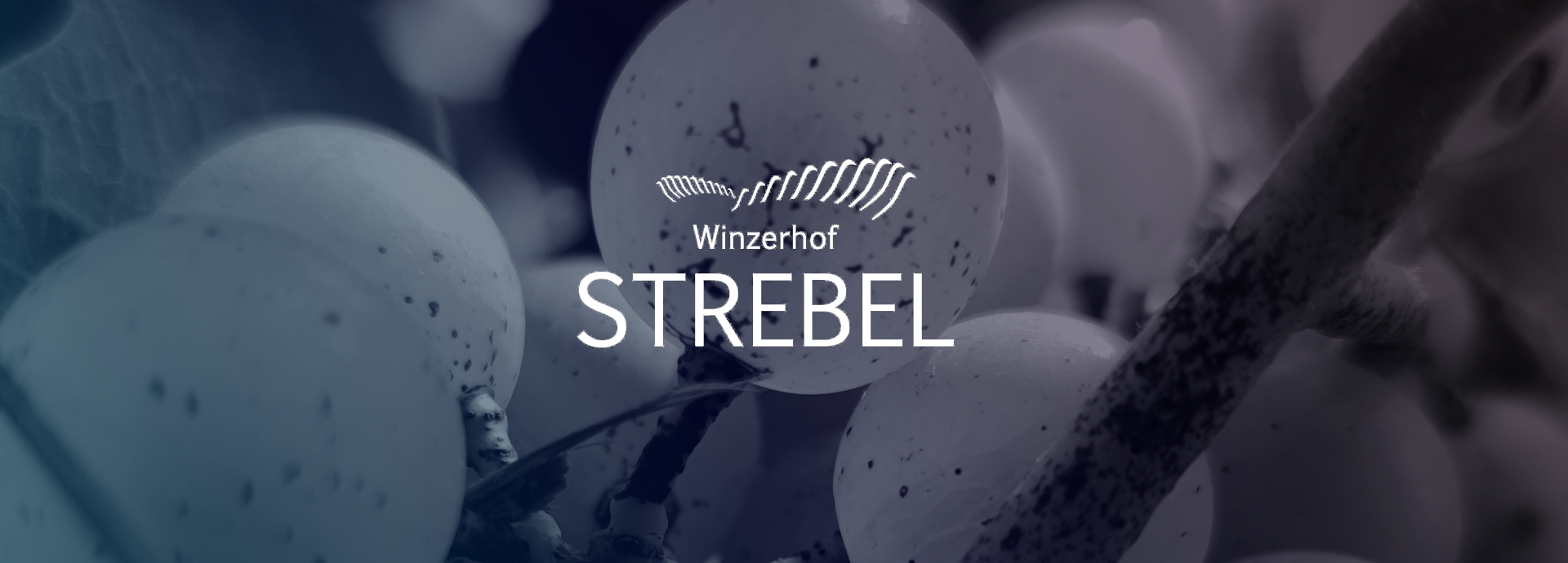 banner_strebel